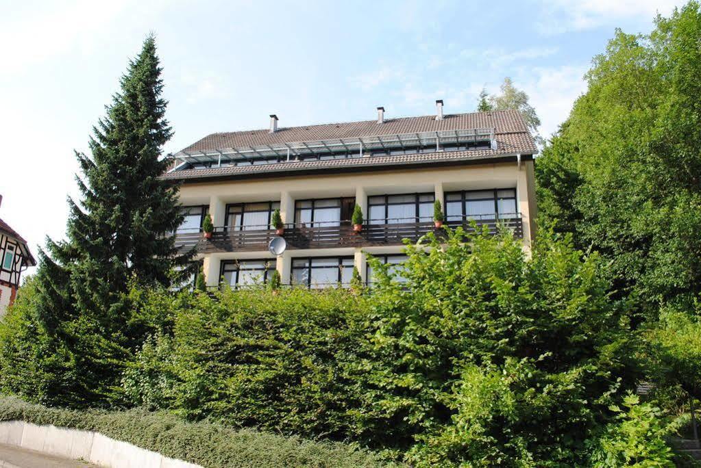 Panorama Hotel Pension Frohnau Bad Sachsa Εξωτερικό φωτογραφία